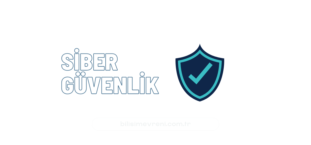 Bilgi Güvenliği Frameworkleri